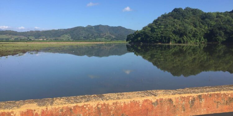 Academia de Ciencias alerta sobre proliferación de cianobacterias y contaminación en la Presa de Hatillo