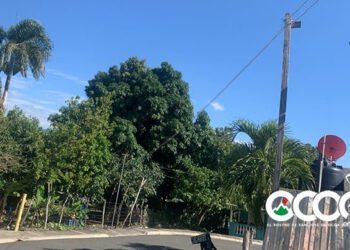 Falta de postes y redes mantiene en zozobra a sector Don Julio en Sabana Larga