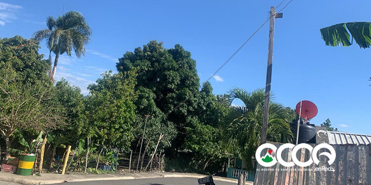 Falta de postes y redes mantiene en zozobra a sector Don Julio en Sabana Larga