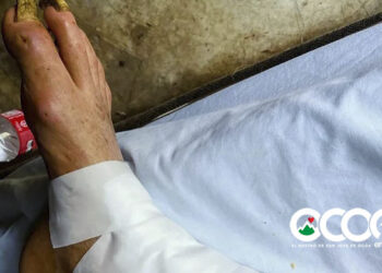 Salud Pública de Ocoa brinda asistencia integral a paciente en condición vulnerable en Nizao