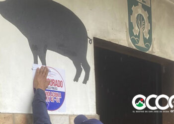 Salud Pública cierra matadero de Sabana Larga por falta de higiene