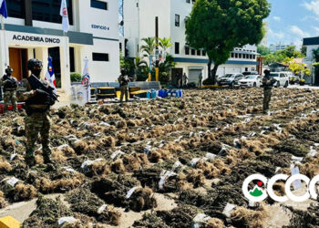 Investigan a 10 personas tras histórica incautación de marihuana en  Ocoa; población exige identificar responsables