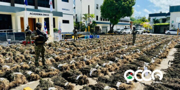Investigan a 10 personas tras histórica incautación de marihuana en  Ocoa; población exige identificar responsables