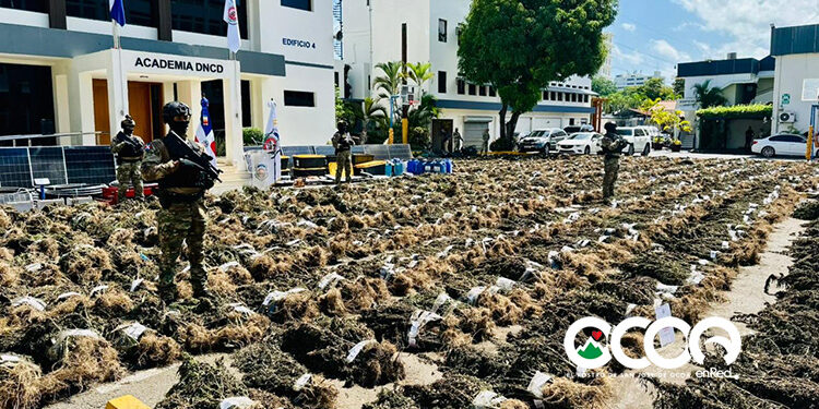 Investigan a 10 personas tras histórica incautación de marihuana en  Ocoa; población exige identificar responsables