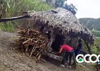 Pondrán en circulación este viernes  obra sobre los trapiches y el cultivo de caña en Ocoa