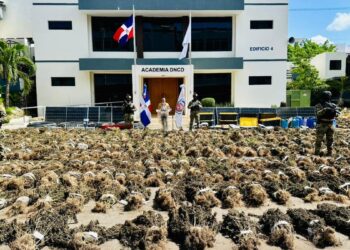 Editorial: La marihuana es de Azua, no de Ocoa