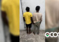 Juzgado de Ocoa ordena libertad de dos haitianos y un dominicano vinculados a caso de más de 3,500 matas de marihuana