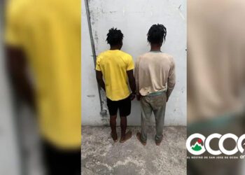 Juzgado de Ocoa ordena libertad de dos haitianos y un dominicano vinculados a caso de más de 3,500 matas de marihuana