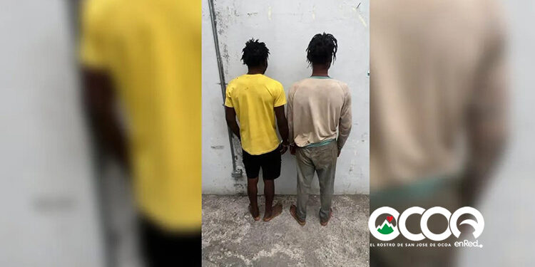 Juzgado de Ocoa ordena libertad de dos haitianos y un dominicano vinculados a caso de más de 3,500 matas de marihuana