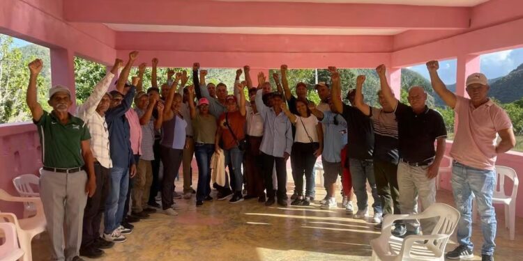 Movimiento Pro-Carretera de El Pinar acuerda solicitar al Gobierno terminación de la carretera